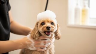 愛犬が劇的に変わる！プロが教えるドッグサロンのシャンプー術